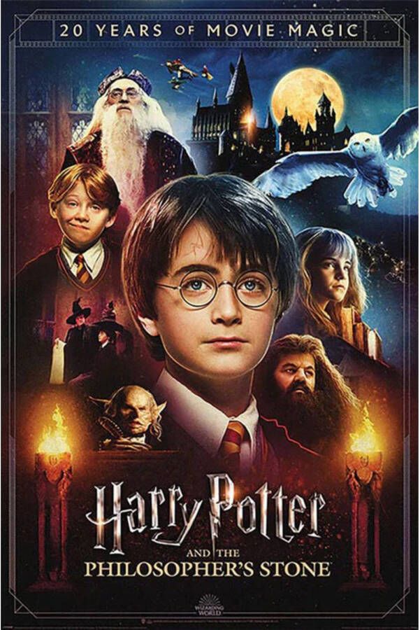 Pyramid Poster Harry Potter 20 Years of Movie Magic 61x91 5cm