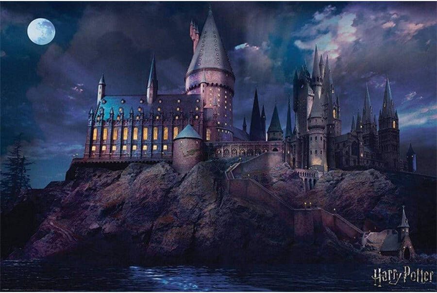 Pyramid Poster Harry Potter Hogwarts 91 5x61cm