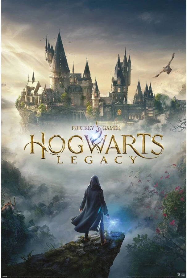 Pyramid Poster Hogwarts Legacy Wizarding World Universe 61x91 5cm
