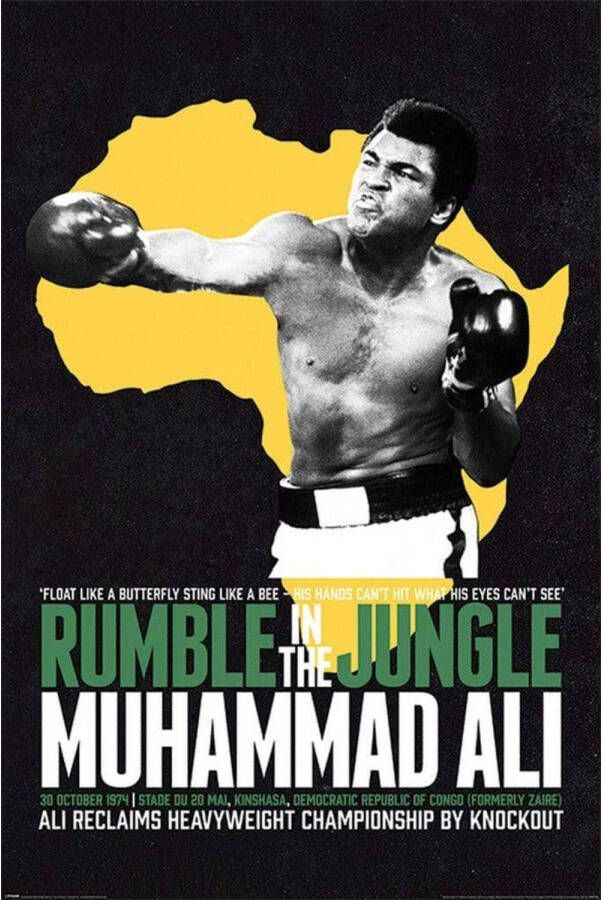 Pyramid Poster Muhammad Ali Rumble in the Jungle 61x91 5cm