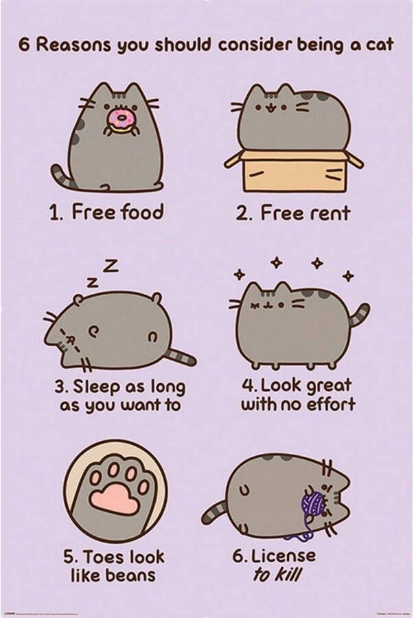 Pyramid Poster Pusheen Reasons to be a Cat 61x91 5cm
