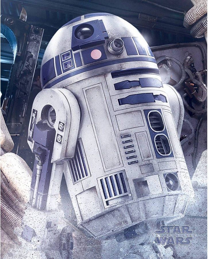 Pyramid Poster Star Wars the Last Jedi R2-D2 Droid 40x50cm