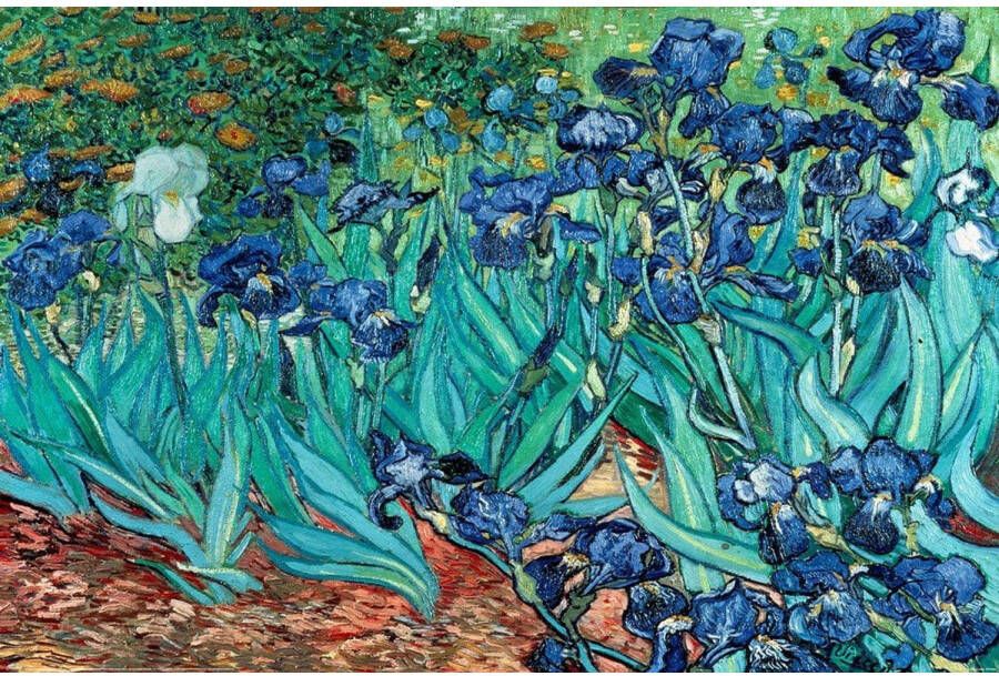 Pyramid Van Gogh Les Irises Poster 91 5x61cm