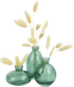 QUVIO Vazen set van 3 Glas Transparant groen