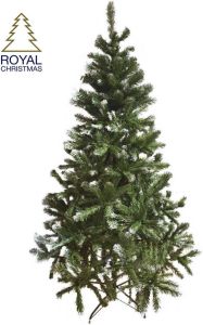 Royal Christmas Kunstkerstboom Dakota Licht Besneeuwd 210 Cm