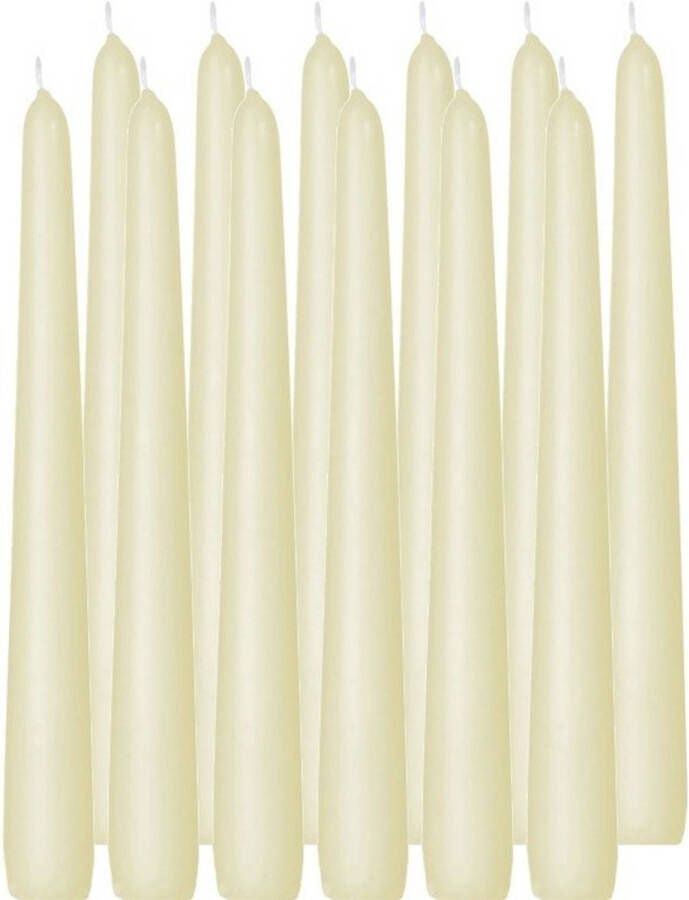 Trend Candles 12x Lange kaarsen ivoorwit 25 cm 8 branduren dinerkaarsen tafelkaarsen Dinerkaarsen