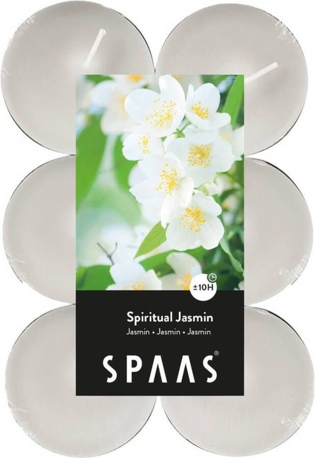 Candles by Spaas 12x Maxi theelichten jasmijn geurkaarsen Spiritual Jasmin 10 branduren geurkaarsen