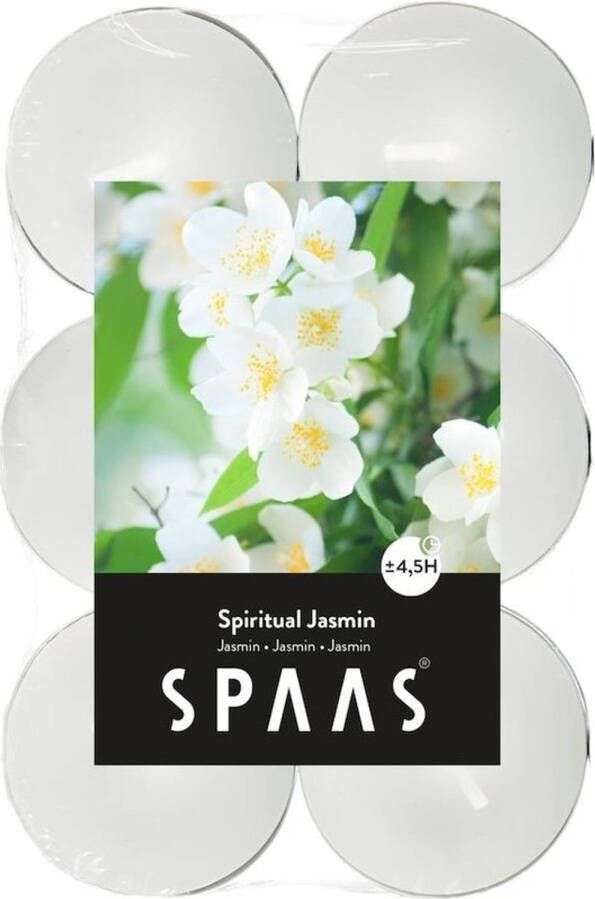 Candles by Spaas 12x Theelichten jasmijn geurkaarsen Spiritual Jasmin 4 5 branduren geurkaarsen