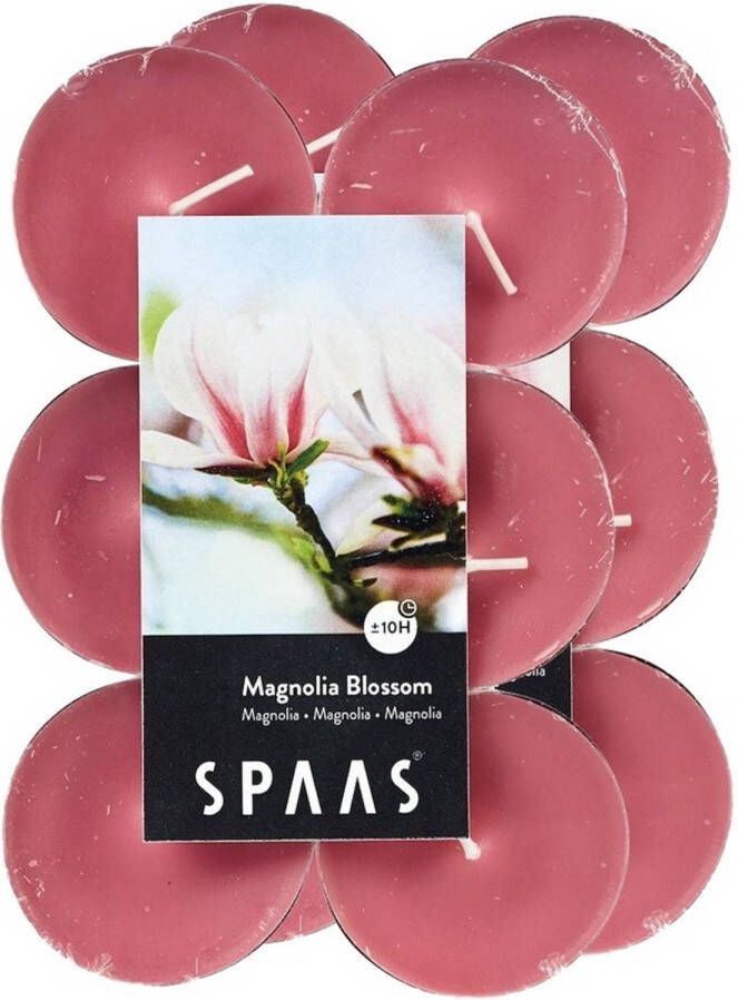 Candles by Spaas 24x Maxi theelichten magnolia bloesem geurkaarsen Magnolia Blossom 10 branduren geurkaarsen
