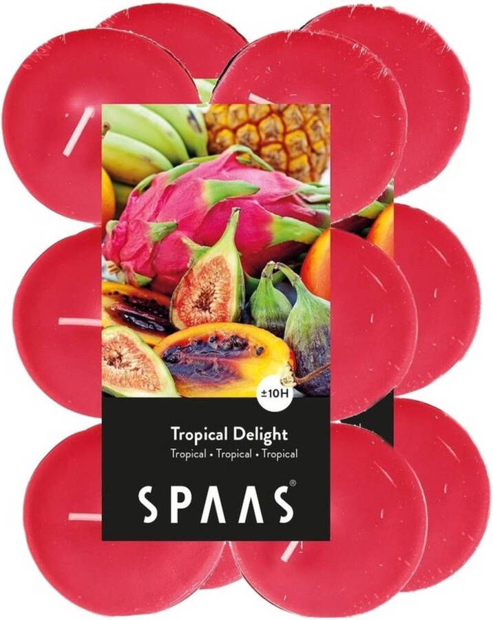 Candles by Spaas 24x Maxi theelichten tropische vruchten geurkaarsen Tropical Delight 10 branduren geurkaarsen