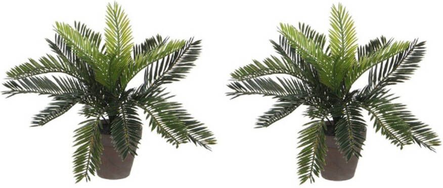 Merkloos 2x Groene Cycaspalm kunstplanten 33 cm met zwarte pot Kunstplanten