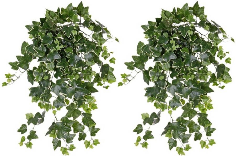 Merkloos 2x Groene witte Hedera Helix klimop weerbestendige kunstplanten 65 cm Kunstplanten