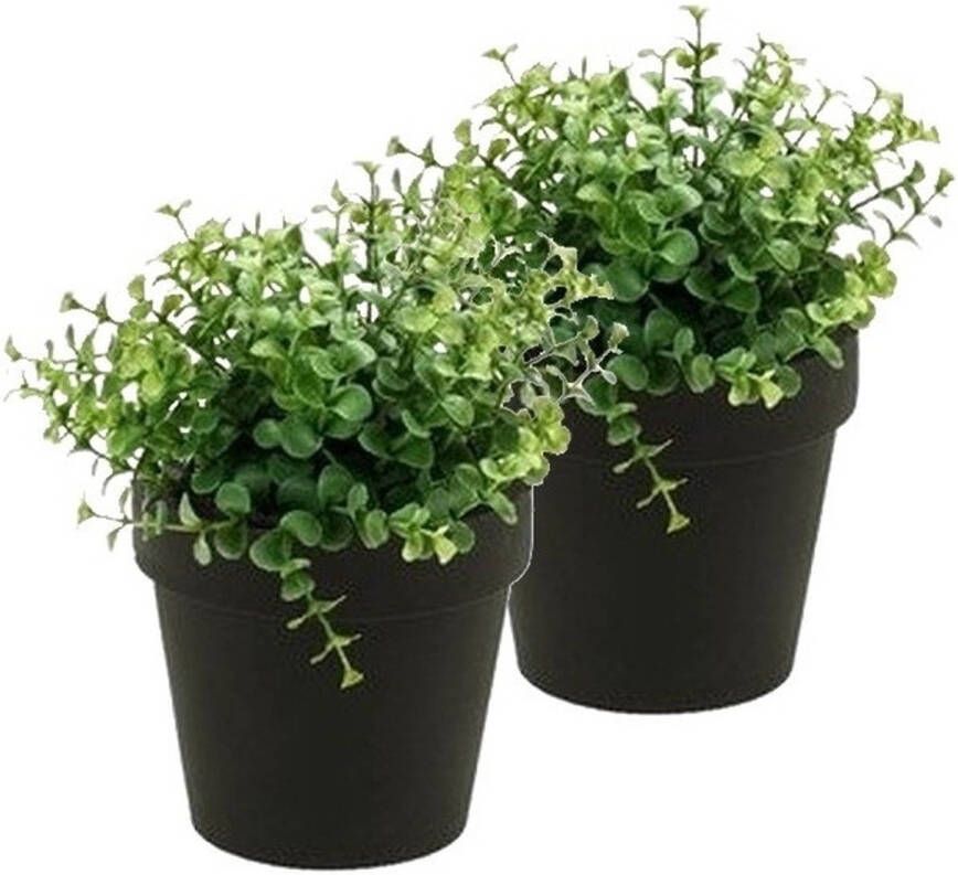 Merkloos 2x Kunstplant eucalyptus groen in pot 20 cm Kamerplant groene eucalyptus Kunstplanten