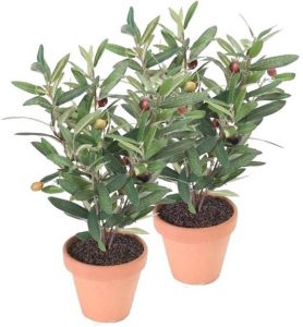 Shoppartners 2x Kunstplant olijfboomje groen in pot 35 cm- Kamerplant groen olijfboom