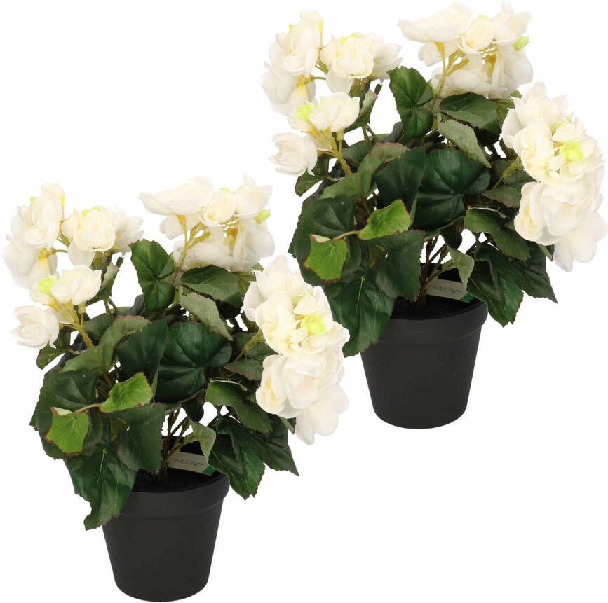 Shoppartners 2x Kunstplanten Begonia wit 30 cm Kunstplanten