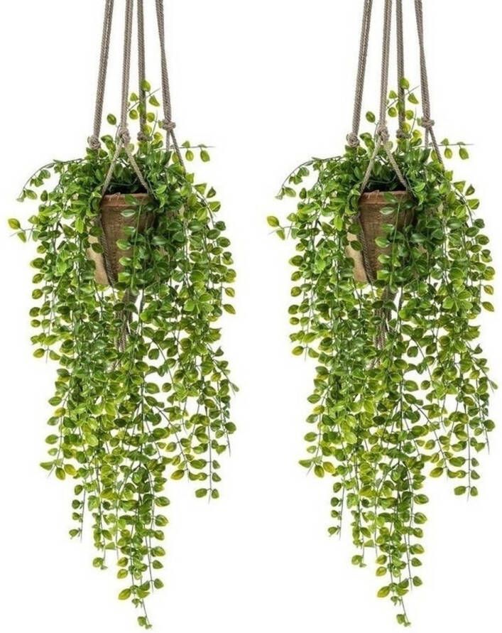 Shoppartners 2x Kunstplanten hangplant Ficus in pot met touwen 16 cm Kunstplanten