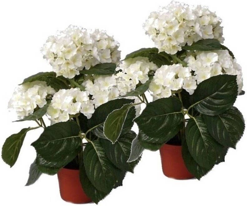 Shoppartners 2x Kunstplanten hortensia wit 36 cm Kunstplanten