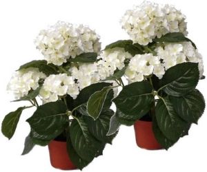 Merkloos 2 Stuks kunstplanten hortensia wit 36 cm Kunstplanten nepplanten met witte bloemen Kunstplanten