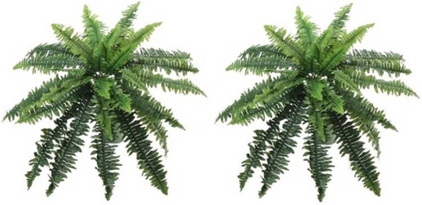 Shoppartners 2x Kunstplanten varen groen 28 cm Kunstplanten