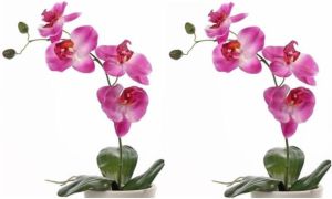 Shoppartners 2x Roze Orchidee phalaenopsis Kunstplanten 44 Cm Voor Binnen Kunstbloemen