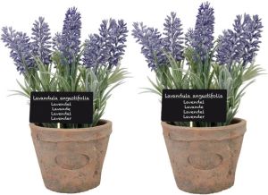 True to Nature 2x stuks kunstplanten lavendel in terracotta pot 23 cm Kunstplanten nepplanten Kunstplanten