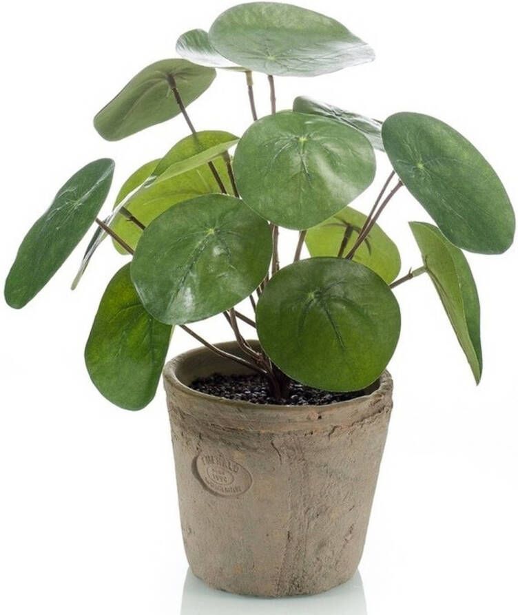 Merkloos 2x stuks Kunstplanten Pannekoekplant groen in pot 25 cm Kamerplanten groen pilea Kunstplanten