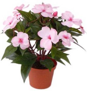 Shoppartners 2x stuks kunstplanten roze bloemen Vlijtig Liesje in pot 25 cm