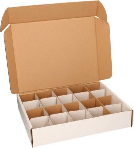 Shoppartners 2x stuks spullen opbergen sorteren sorteerdozen opbergdozen met 20x 8 cm vakken Opbergbox