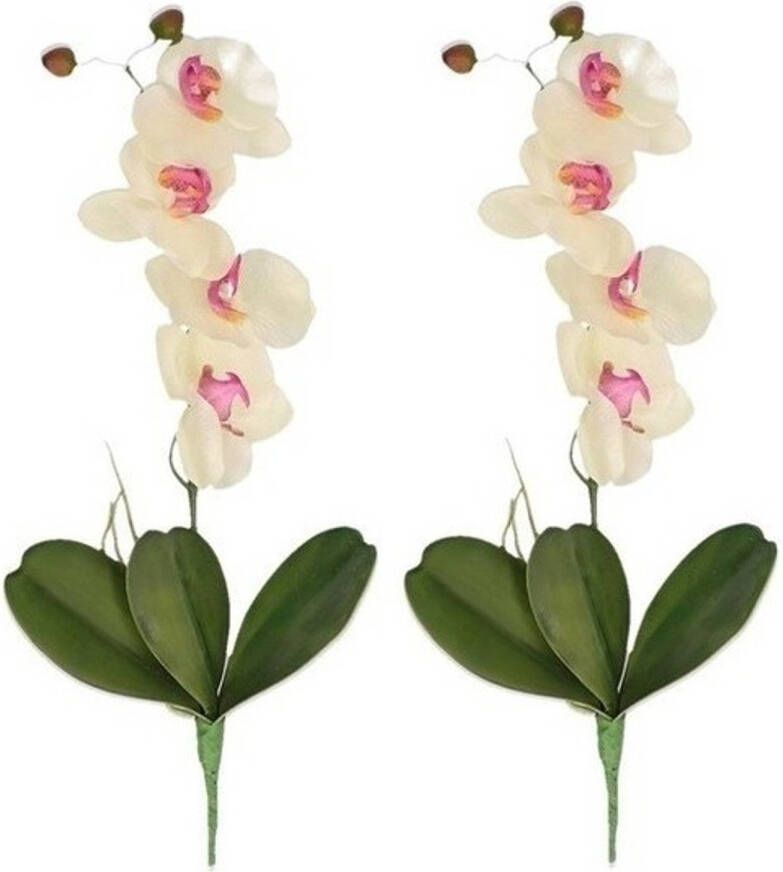 Merkloos 2x Nep planten roze wit Orchidee Phalaenopsis binnenplant kunstplanten 44 cm Kunstbloemen