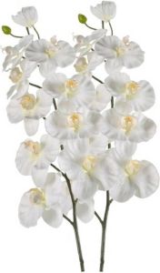 Shoppartners 2x Witte Orchidee Kunstbloemen Tak 100 Cm Kunstbloemen