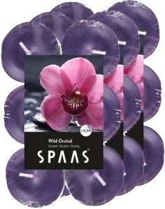 Shoppartners 36x Theelichten Orchidee Bloemen Geurkaarsen Wild Orchid 4 5 Branduren Geurkaarsen