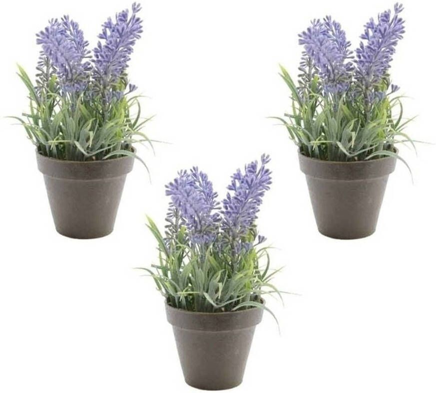 Shoppartners 3x Groen paarse Lavendula lavendel kunstplanten 17 cm zwarte pot Kunstplanten