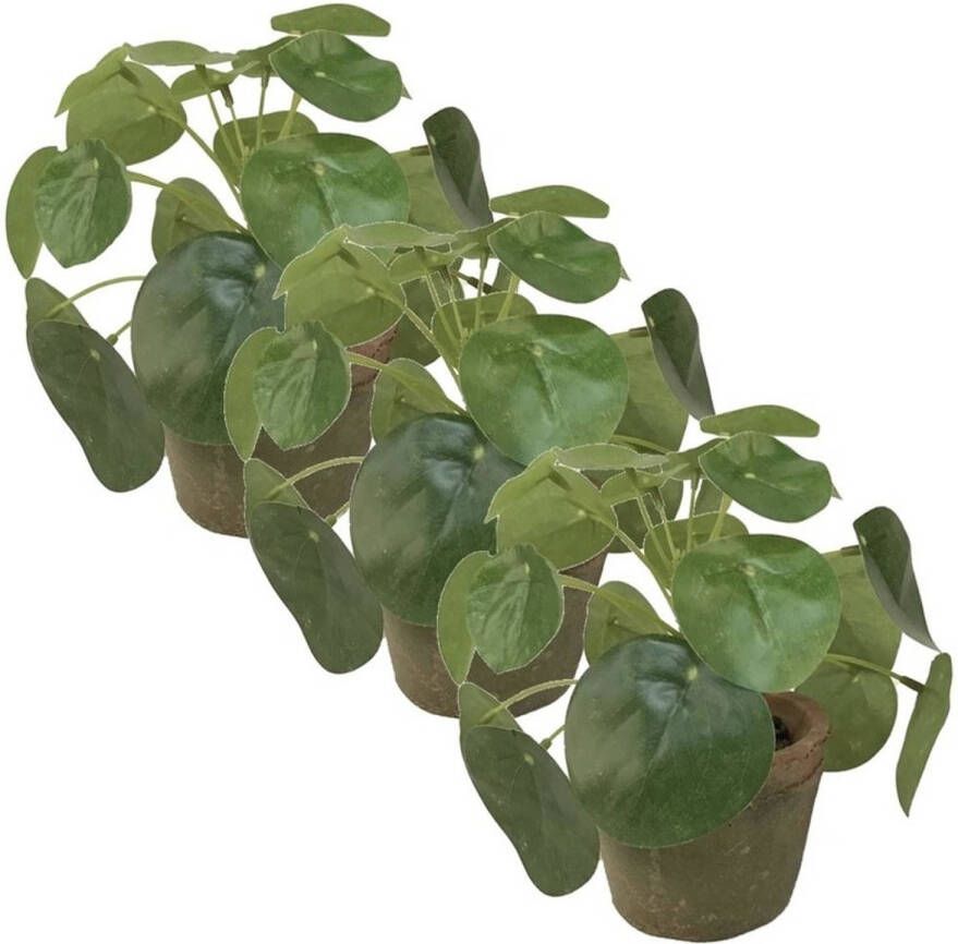 Merkloos 3x Groene kunstplanten pilea plant in pot 13 cm Kunstplanten
