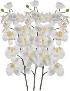 Shoppartners 3x Witte Orchidee Kunstbloemen Tak 100 Cm Kunstbloemen