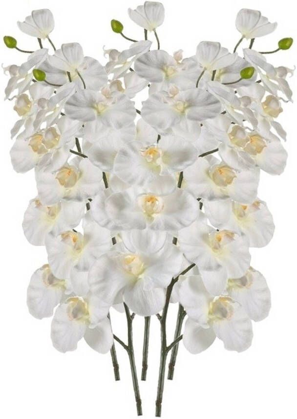 Shoppartners 5x Witte Orchidee kunstbloemen tak 100 cm Kunstbloemen