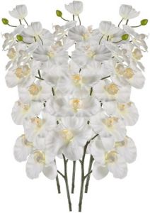 Shoppartners 5x Witte Orchidee Kunstbloemen Tak 100 Cm Kunstbloemen