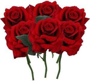 Shoppartners 6x Rode rozen deluxe kunstbloemen 31 cm Kunstbloemen