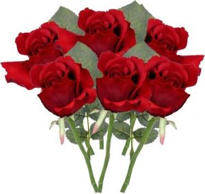 Shoppartners 6x Rode rozen kunstbloemen 30 cm Kunstbloemen