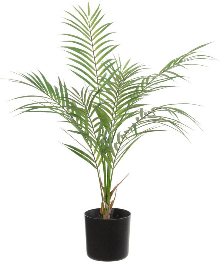 Louis Maes Groene areca palm goudpalm Dypsis Lutescens kunstplant in zwarte kunststof pot 60 cm Kunstplanten
