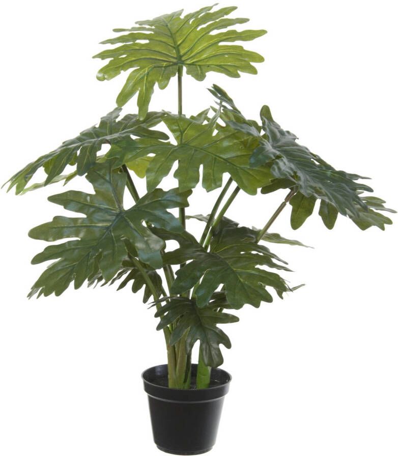Louis Maes Groene gatenplant Philodendron Selloum kunstplant in zwarte kunststof pot 55 cm Kunstplanten