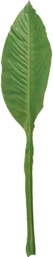 Anna's Collection Groene Musa bananenplant blad kunsttak kunstplant 74 cm Kunstbloemen