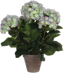 Mica Decorations Groene paarse Hortensia met paarse bloemen kunstplant 45 cm in pot Kunstplanten nepplanten Kunstplanten