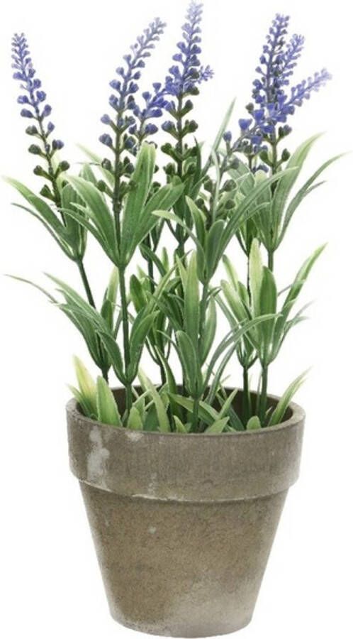 Merkloos Groene paarse Lavandula lavendel kunstplanten 25 cm met grijze beton pot Kunstplanten