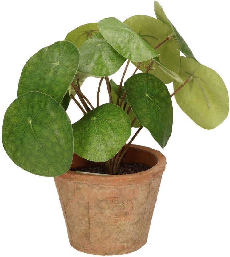Shoppartners Kantoor kunstplant pilea Pannekoekplant groen in pot 25 cm Kunstplanten