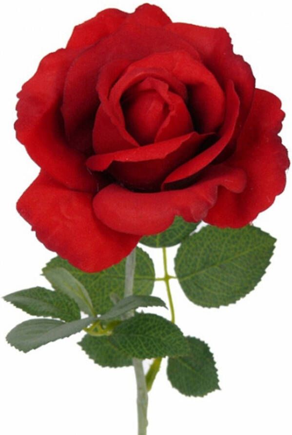 Shoppartners Kunst roos Carol rood 37 cm Kunstbloemen