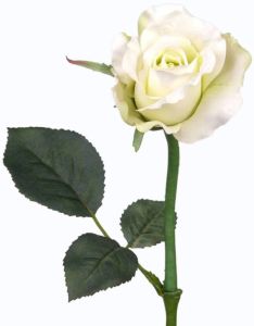 Merkloos Kunstbloemen roos rozen Alicia parel wit 30 cm Witte kunstbloemen en boeketten Kunstbloemen