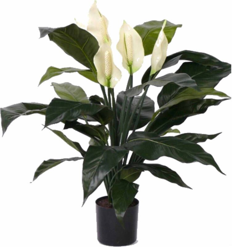 Merkloos Bellatio flowers & plants Kunstplant Lepelplant groen 75 cm Kunstplanten