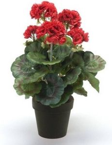 Merkloos Kunstplant Geranium rood in pot 35 cm Kamerplant rode Geranium Kunstplanten