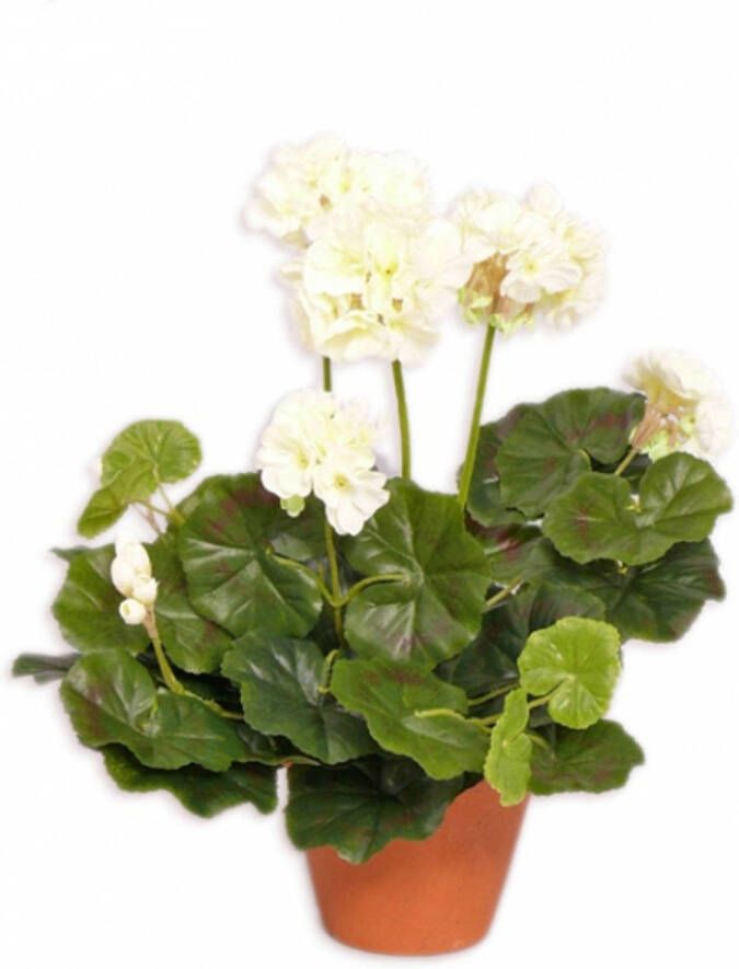 Shoppartners Kunstplant geranium wit 30 cm Kunstplanten