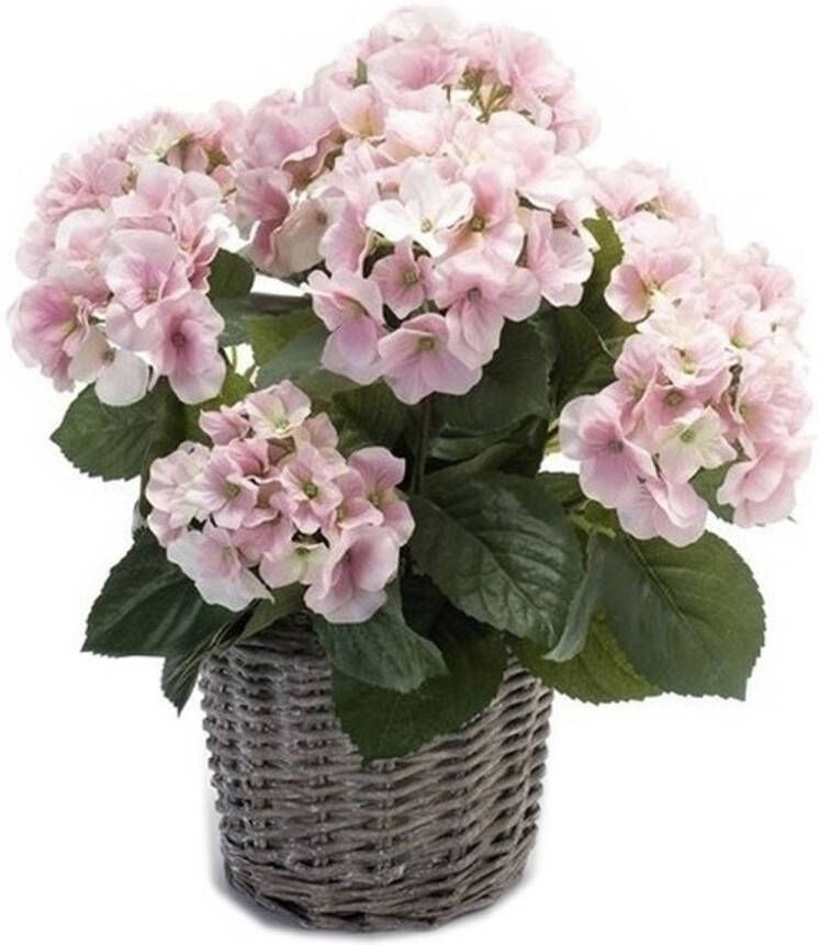 Shoppartners Kunstplant Hortensia roze in rieten mand 45 cm Kunstplanten